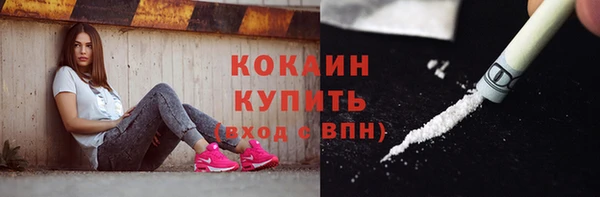 прущие грибы Анива