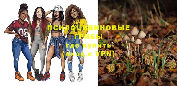 PSILOCYBIN Армянск