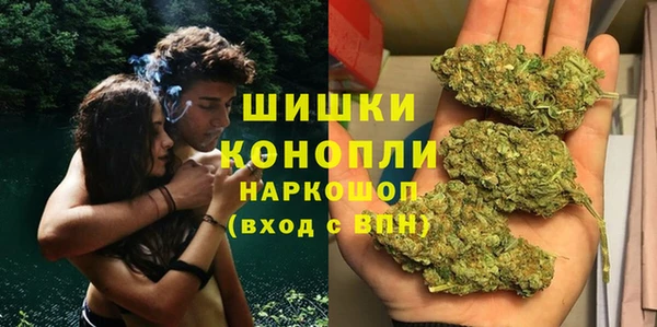 PSILOCYBIN Армянск