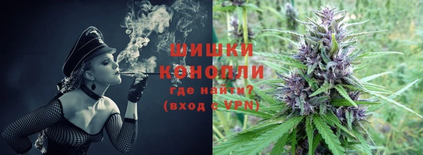 PSILOCYBIN Армянск